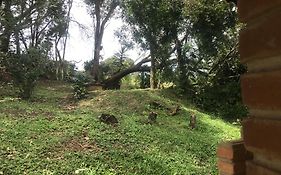 Recanto Figueiredo